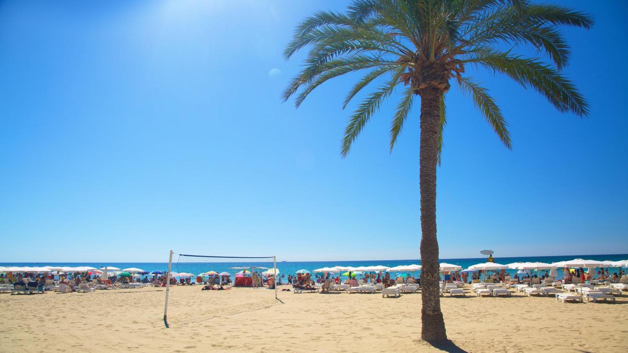 Hb Apartments - Mercado Central - Rambla Alicante - La Suite De La Playa Luaran gambar